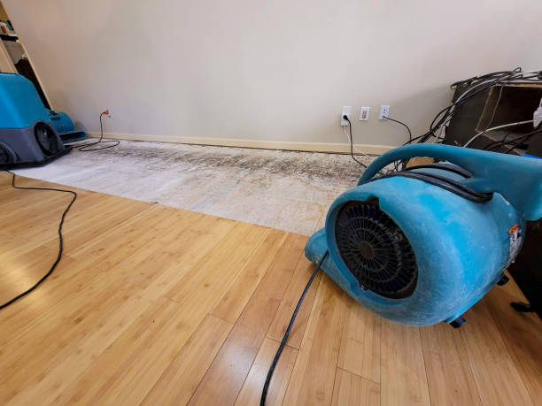 Professional Emergency Water Damage technician working in Stanchfield, MN